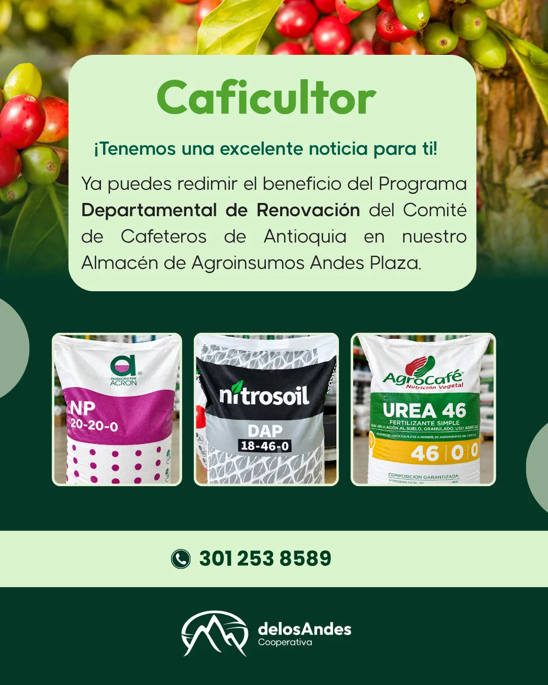 Programa Departamental de Renovación